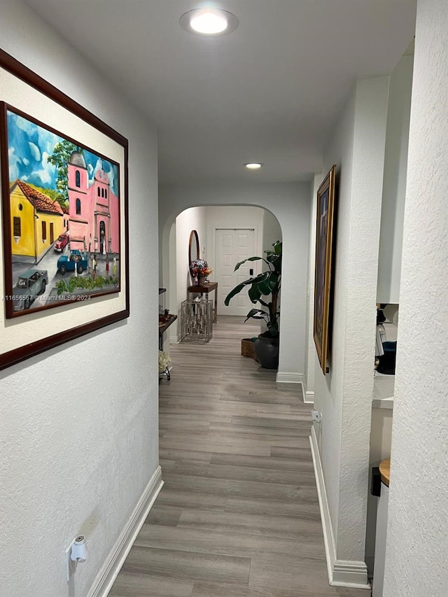 hallway featuring wood-type flooring