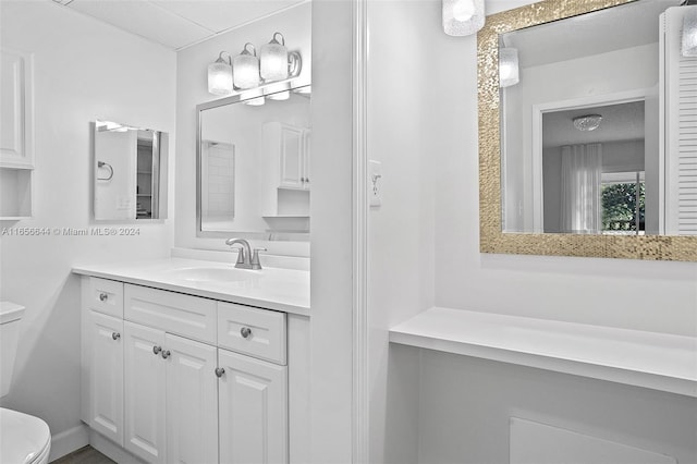 bathroom with toilet and vanity