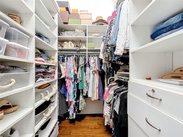 spacious closet featuring dark wood-type flooring