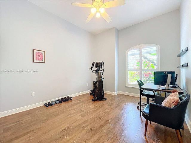 office featuring hardwood / wood-style flooring and ceiling fan