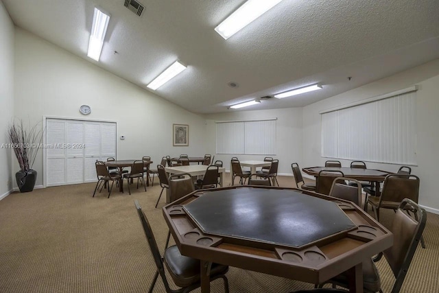 playroom with lofted ceiling, carpet flooring, and a textured ceiling