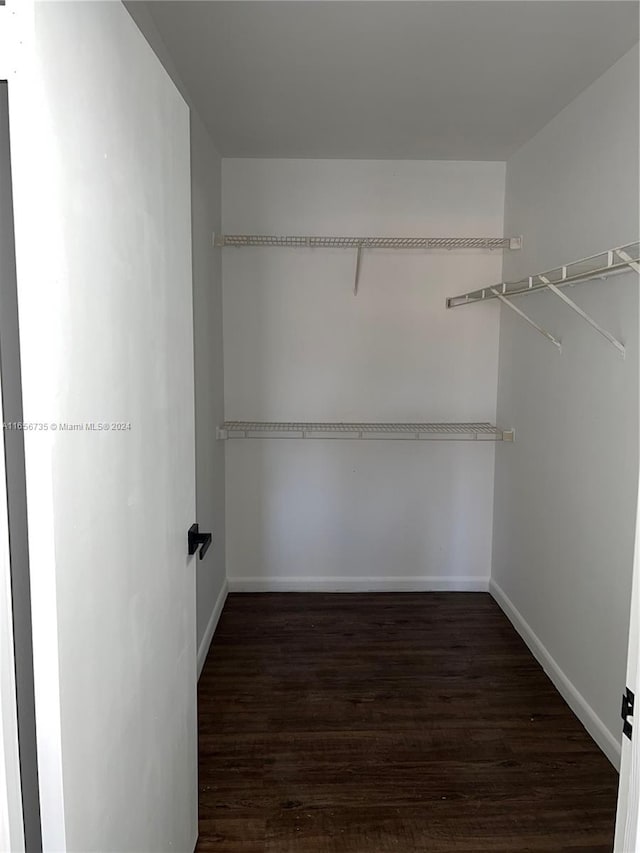 walk in closet with dark wood-type flooring