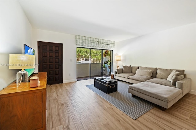 living room with light hardwood / wood-style floors