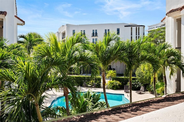 2600 Cardena St Unit 11, Coral Gables, FL 33134 - outdoor pool featuring a patio