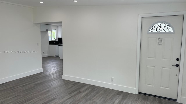 foyer with sink and dark hardwood / wood-style flooring