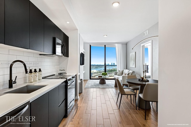 kitchen with a water view, stainless steel appliances, sink, decorative backsplash, and light hardwood / wood-style floors