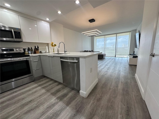 kitchen featuring expansive windows, stainless steel appliances, dark hardwood / wood-style flooring, and kitchen peninsula