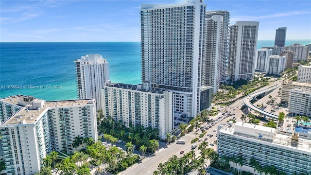 aerial view with a water view