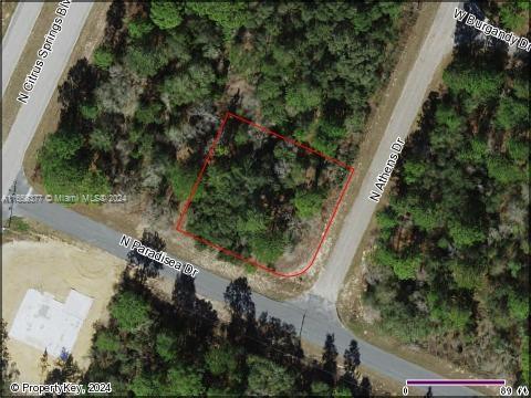 8760 N Athens, Citrus Springs FL, 34433 land for sale