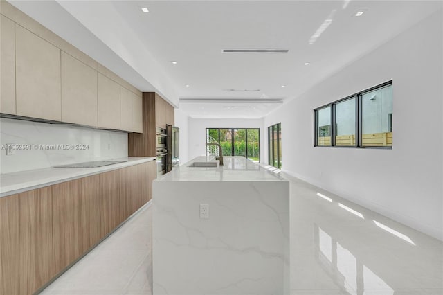 kitchen with light stone countertops, decorative backsplash, a large island with sink, and sink