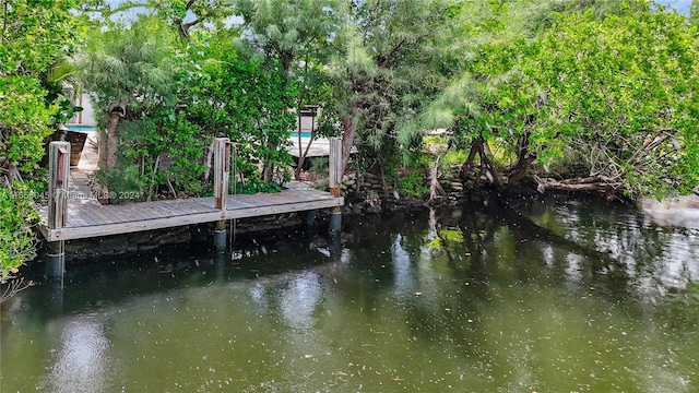 view of dock featuring a water view