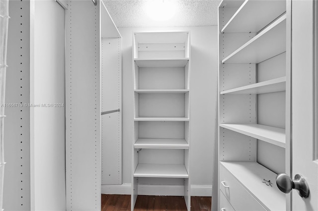 spacious closet featuring dark hardwood / wood-style floors