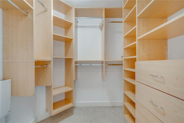 spacious closet featuring light colored carpet