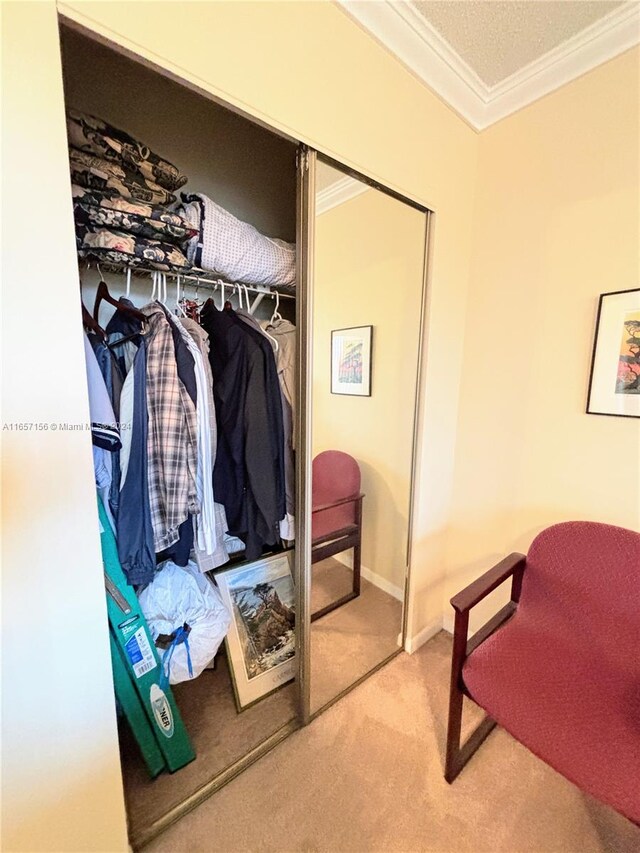 view of closet