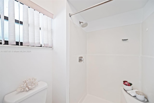 bathroom with a shower and toilet