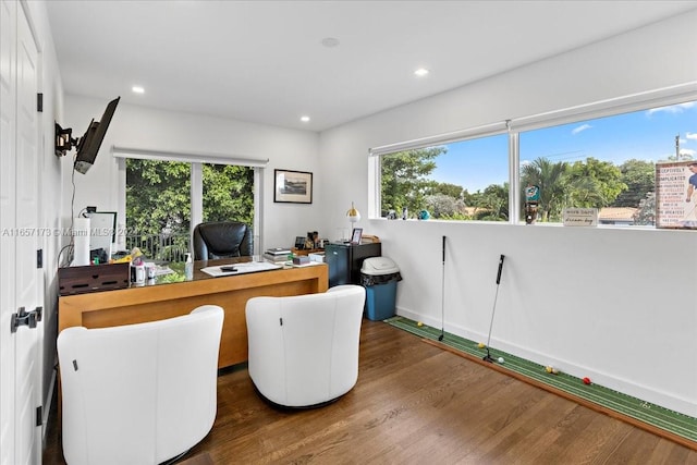 office space featuring dark hardwood / wood-style flooring