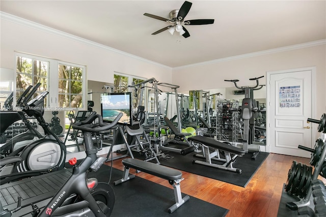 workout area with ornamental molding, wood-type flooring, and ceiling fan