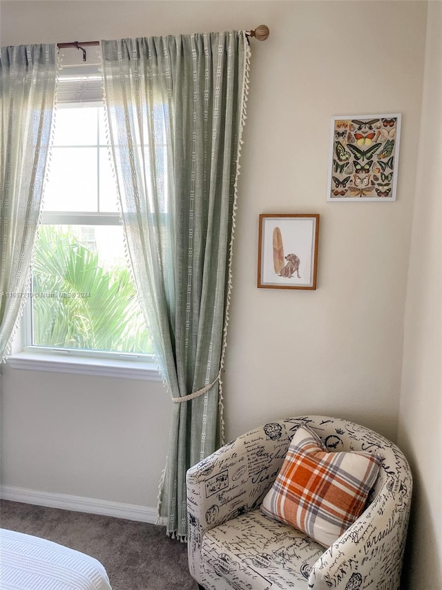 living area featuring carpet