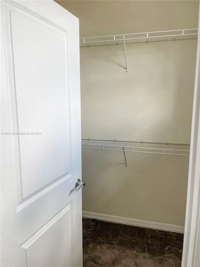 spacious closet featuring carpet flooring