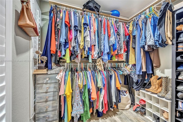 spacious closet with hardwood / wood-style floors