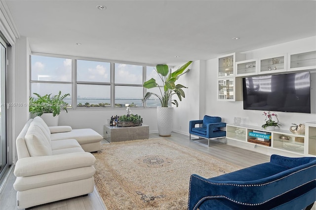 living room with light hardwood / wood-style floors