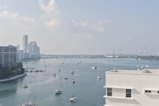 view of water feature featuring a city view