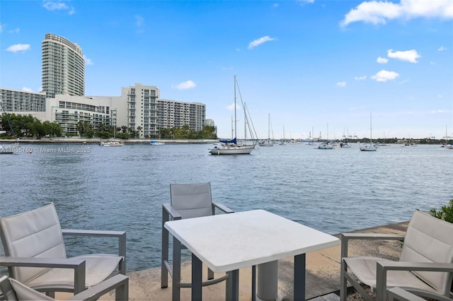 dock area with a water view