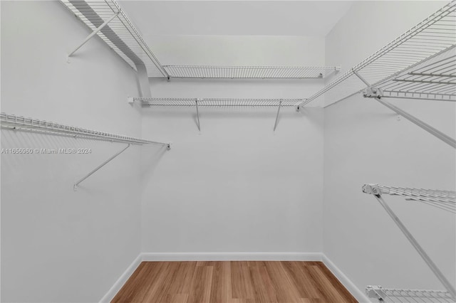 walk in closet with wood-type flooring