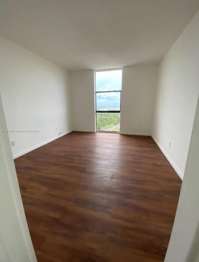 spare room with dark hardwood / wood-style flooring and expansive windows