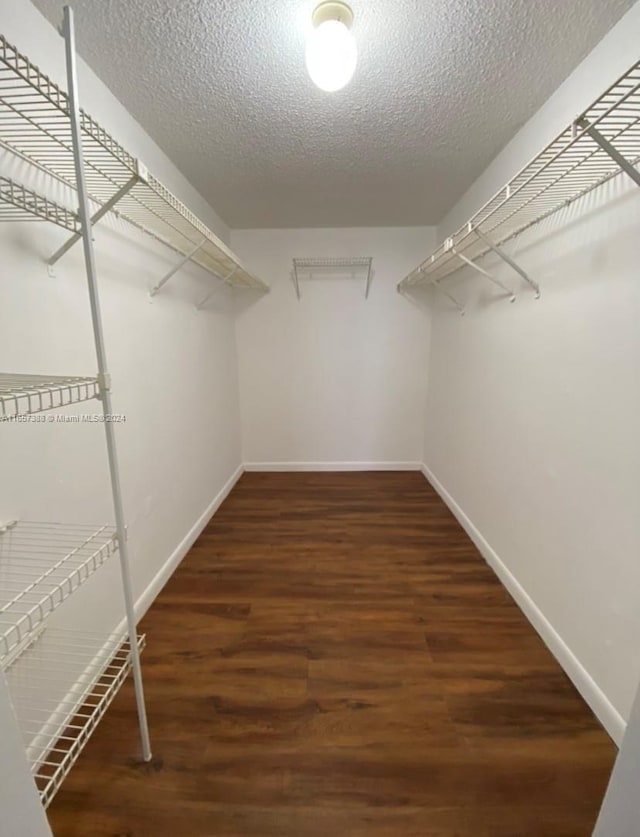 walk in closet with dark hardwood / wood-style flooring