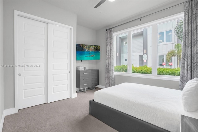 bedroom featuring carpet flooring, ceiling fan, and a closet