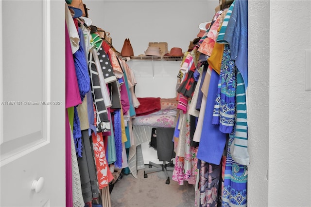 spacious closet with carpet