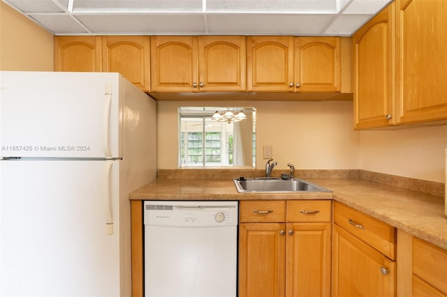 kitchen featuring a paneled ceiling, sink, and white appliances