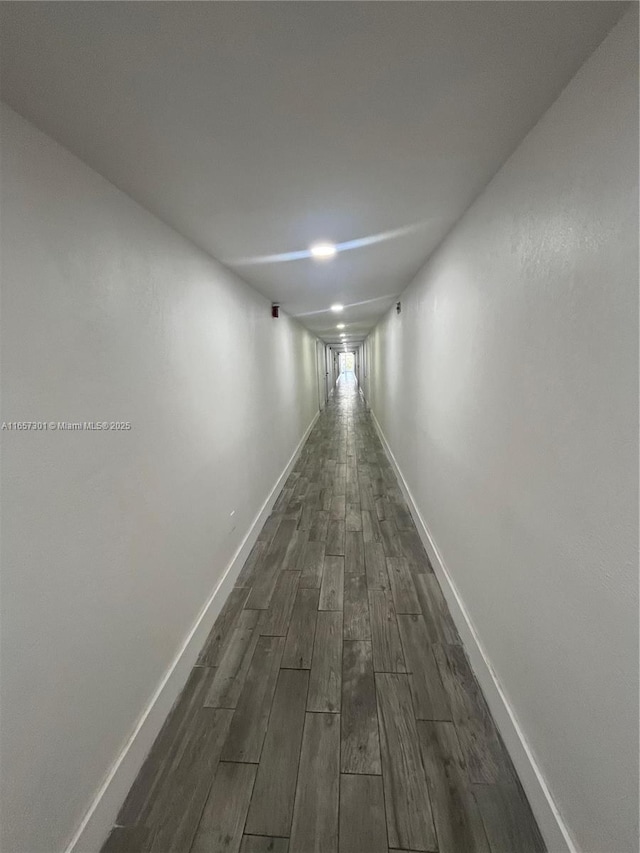 hallway featuring dark wood-type flooring