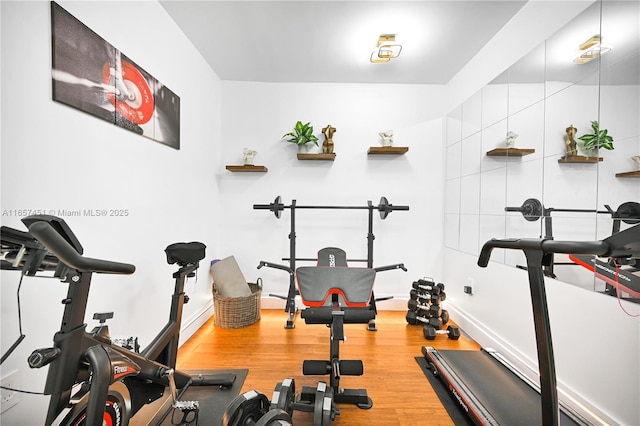 workout room featuring hardwood / wood-style floors