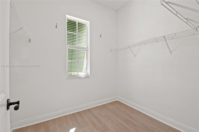 spacious closet with wood-type flooring