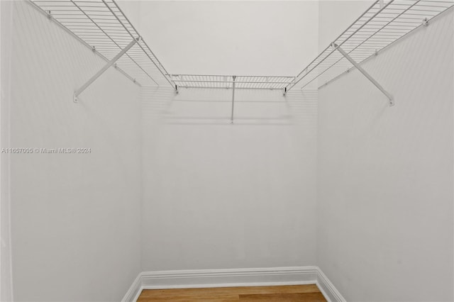 spacious closet with hardwood / wood-style flooring