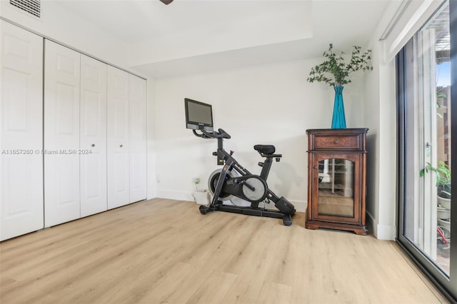 workout area with light hardwood / wood-style flooring