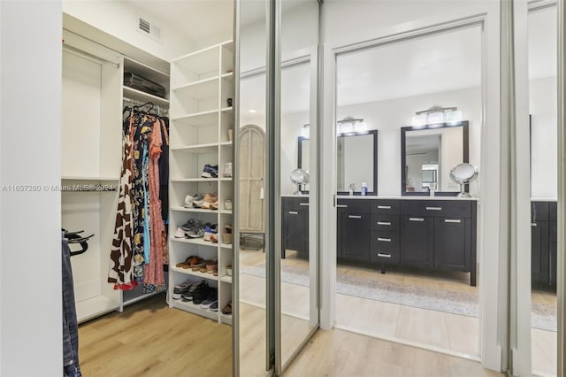 spacious closet featuring sink and hardwood / wood-style flooring