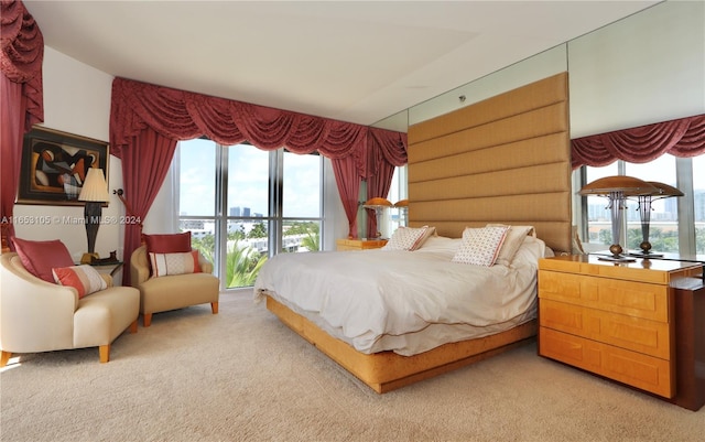 carpeted bedroom with multiple windows