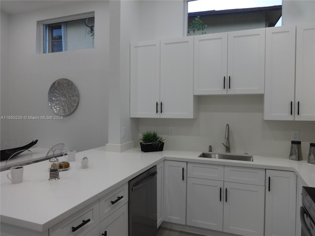 kitchen featuring white cabinetry, sink, and stainless steel dishwasher