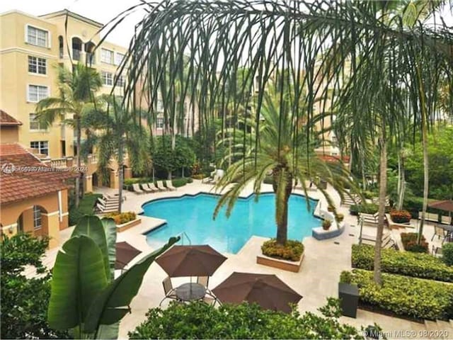 view of pool featuring a patio