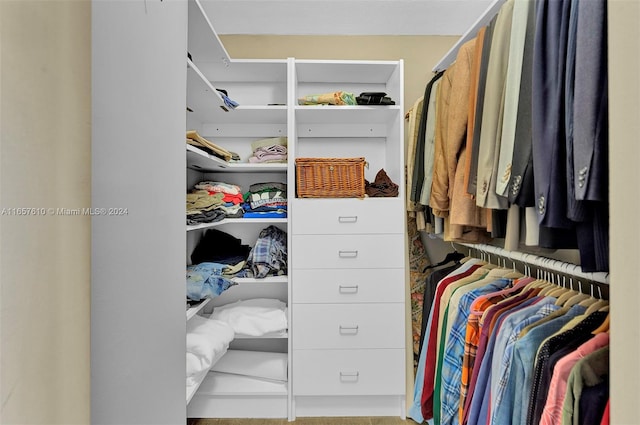 view of spacious closet