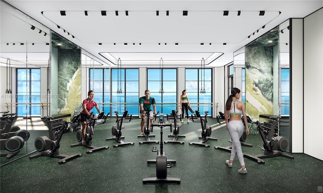 workout area featuring a wall of windows