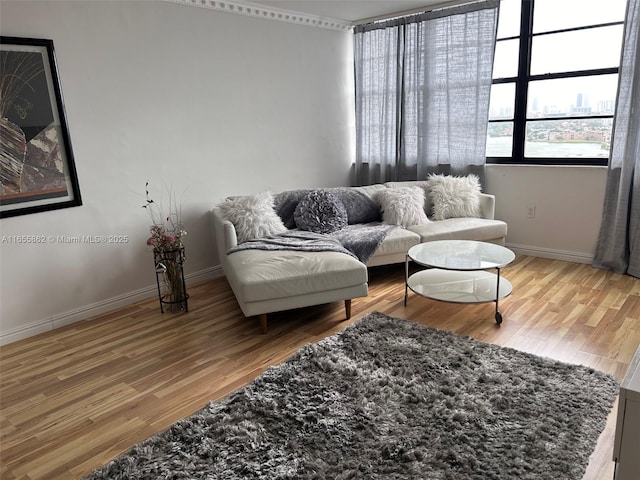 living room featuring wood-type flooring