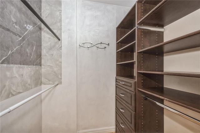 view of walk in closet