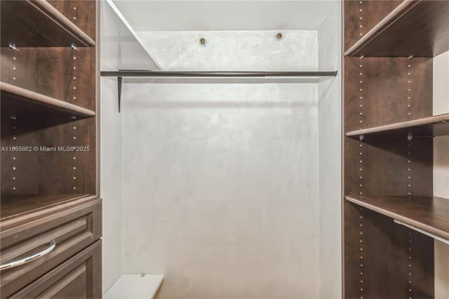 view of spacious closet