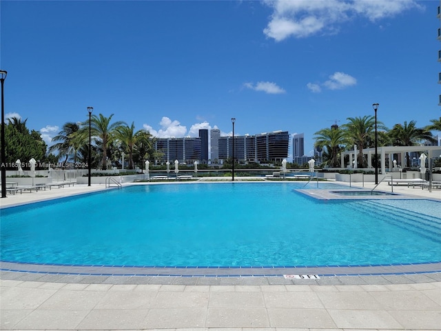 view of swimming pool