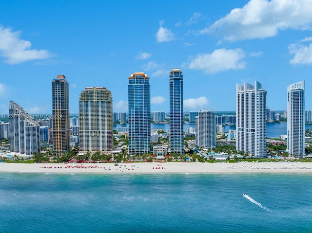 water view featuring a beach view