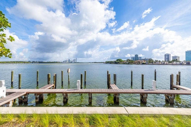 dock area with a view of city and a water view